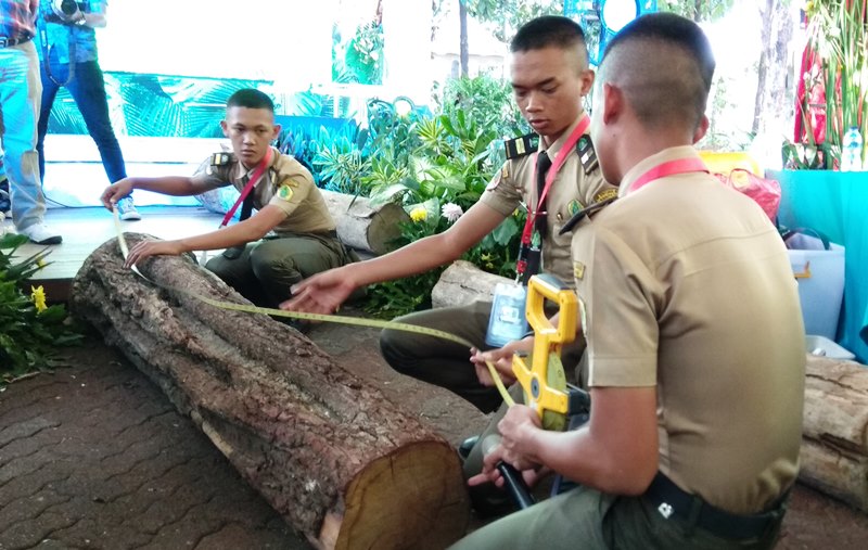 SMK Jurusan Teknik Konservasi Sumber Daya Hutan : Pengertian, Apa yang Dipelajari, dan Prospek Kerja