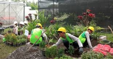 SMK Jurusan Lanskap dan Pertamanan : Pengertian, Apa yang Dipelajari, dan Prospek Kerja