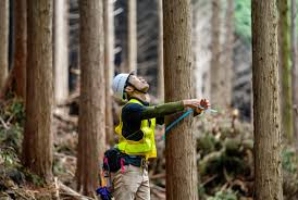 SMK Jurusan Teknik Produksi Hasil Hutan : Pengertian, Apa yang Dipelajari, dan Prospek Kerja