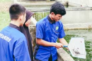 SMK Jurusan Agribisnis Perikanan Air Tawar : Pengertian, Apa yang Dipelajari, dan Prospek Kerja