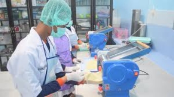 SMK Jurusan Agribisnis Pengolahan Hasil Perikanan : Pengertian, Apa yang Dipelajari, dan Prospek Kerja