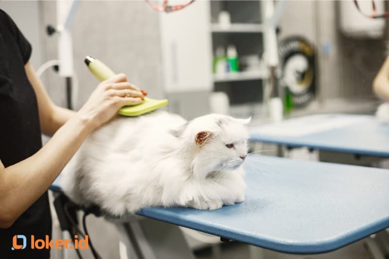 kisaran-gaji-pet-groomer-tahun-2024