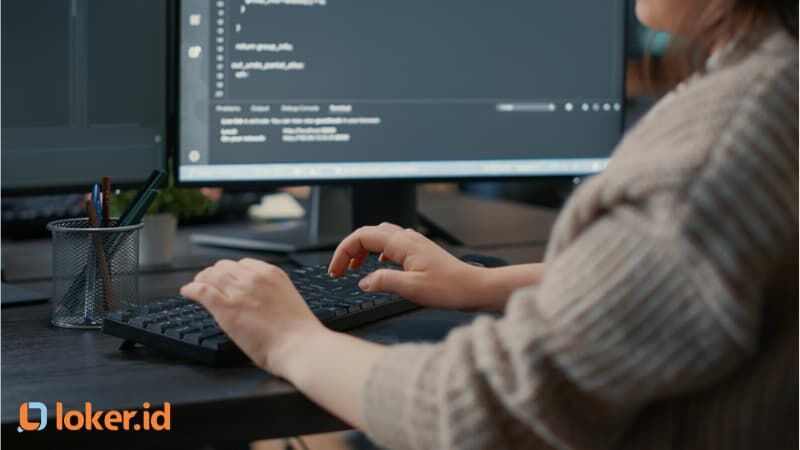 profesi-software-engineer-tahun-2024