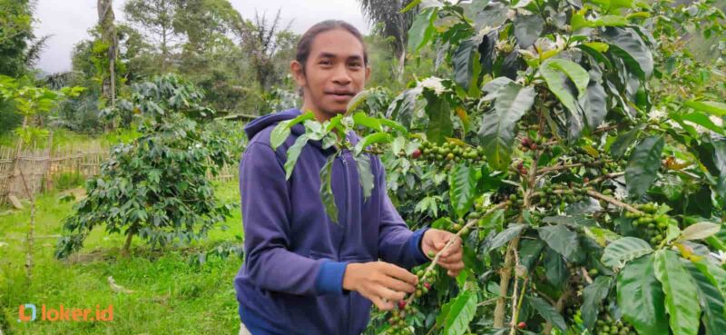 perjalanan-fasya-siregar-menjadi-barista-tahun-2024