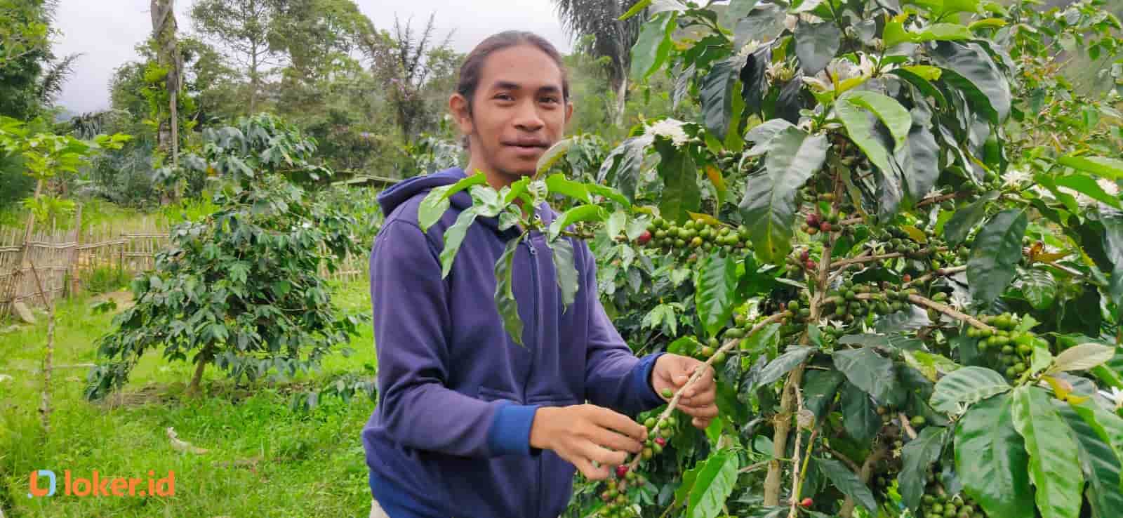 Fasya Siregar: Perjalanan Puitis Seorang Barista