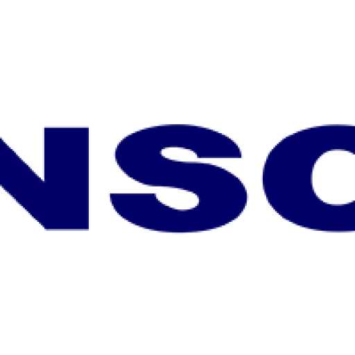 NSC Pamulang logo