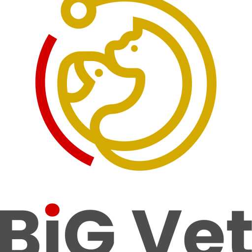 logo BiG Vet Clinik