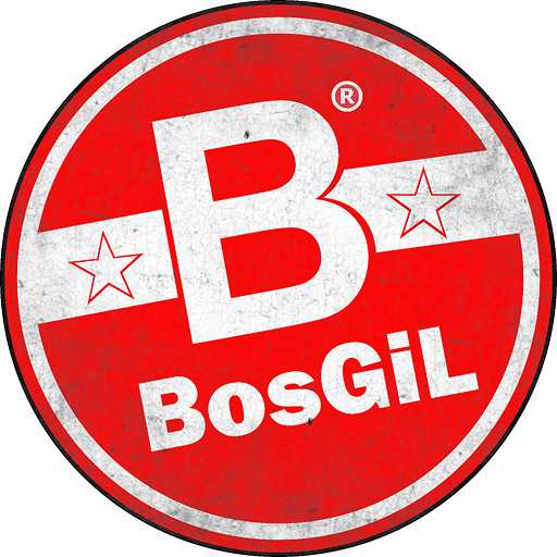 BosGil Group logo