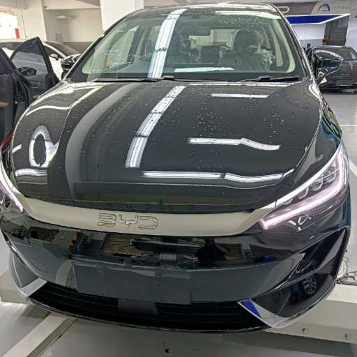 logo BYD Harmony Bali