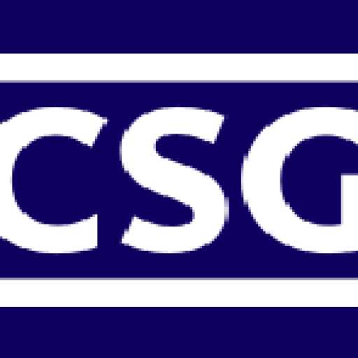logo PT Chang Shin Indonesia