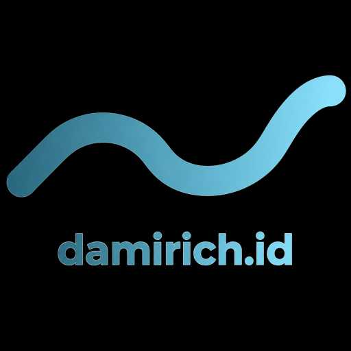 logo Damirich Group