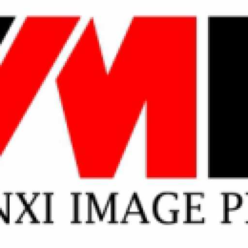 logo Manxi Group