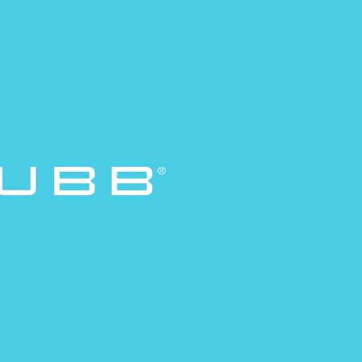 logo PT Chubb Life