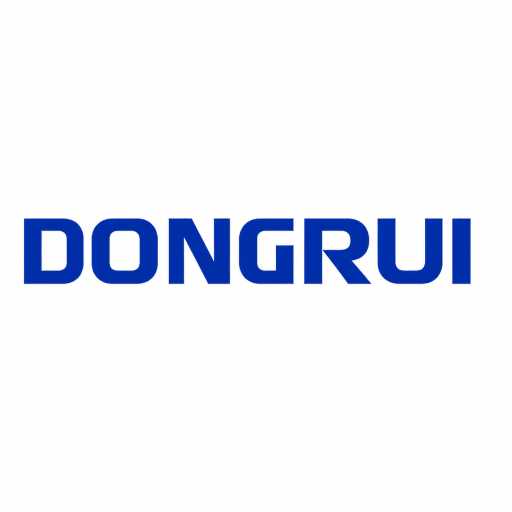 PT Dongrui Electric International logo
