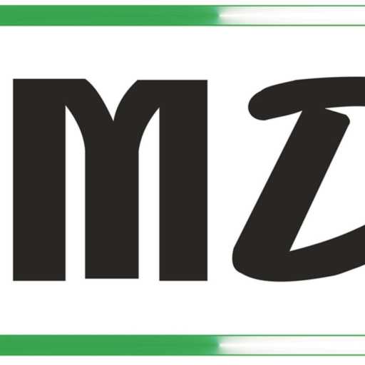 logo PT EMEDIA DEVICES