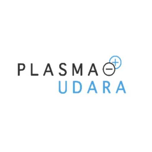 logo PT. PLASMA UDARA INDONESIA