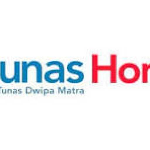 PT Tunas Dwipa Matra Cabang Palembang logo