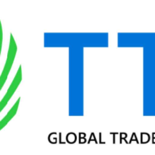 logo TTU Consulting
