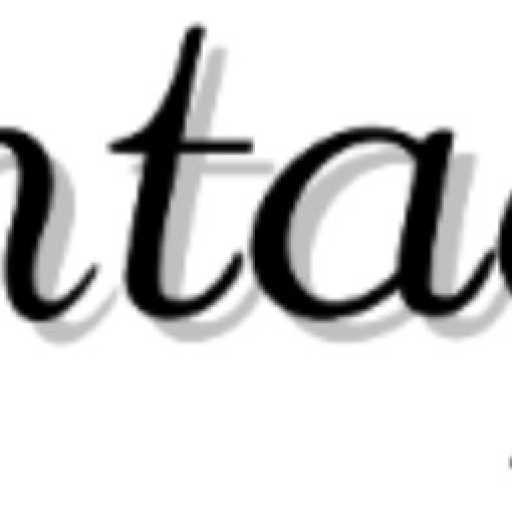 logo Vantage Asset Management