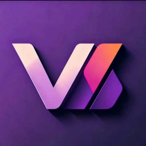 logo VISIONERY NETWORK
