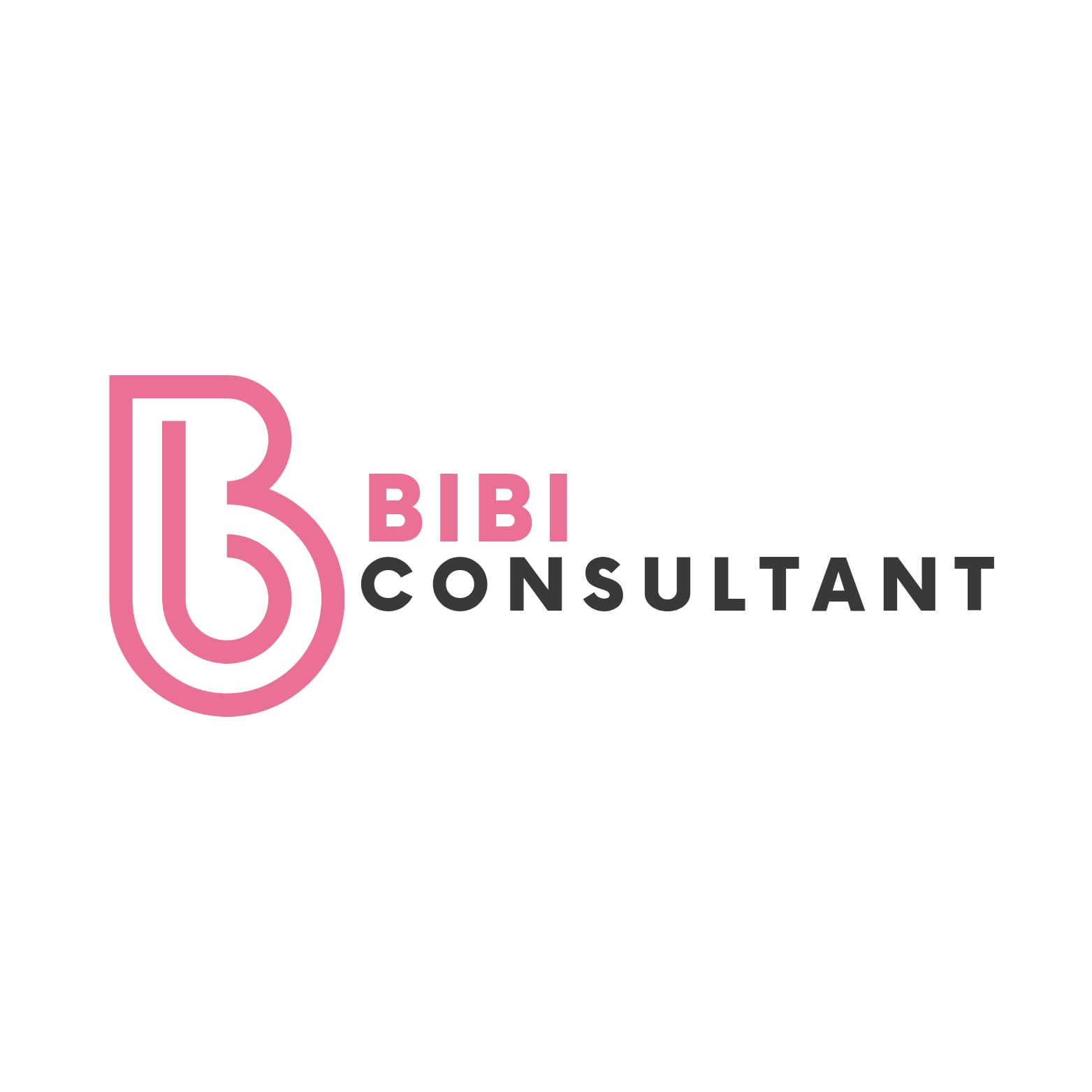 logo Bibi Consultant