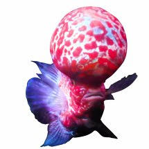 logo Jakarta Pet Lover