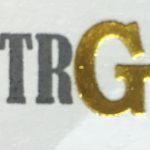 logo CV Transgold