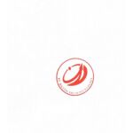PT.Digital Solid Technology logo