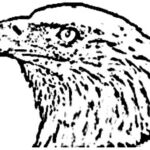 ELANG PERKASA INDOJAYA logo