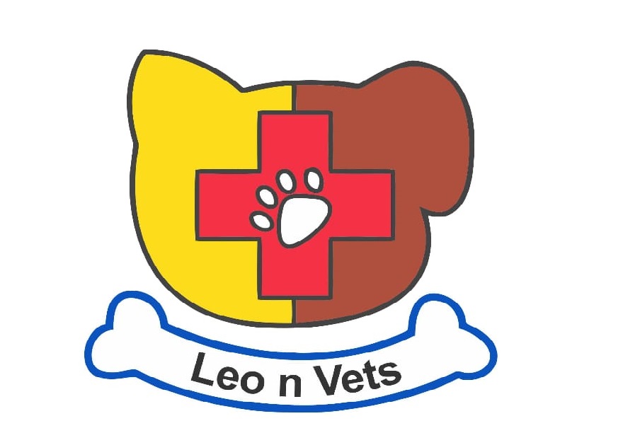logo Leo N Vets Group