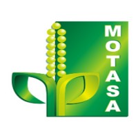 Motasa Lowongan Kerja Manajemen SDM di Mojokerto Terbaru Oktober 2026 - Loker.id