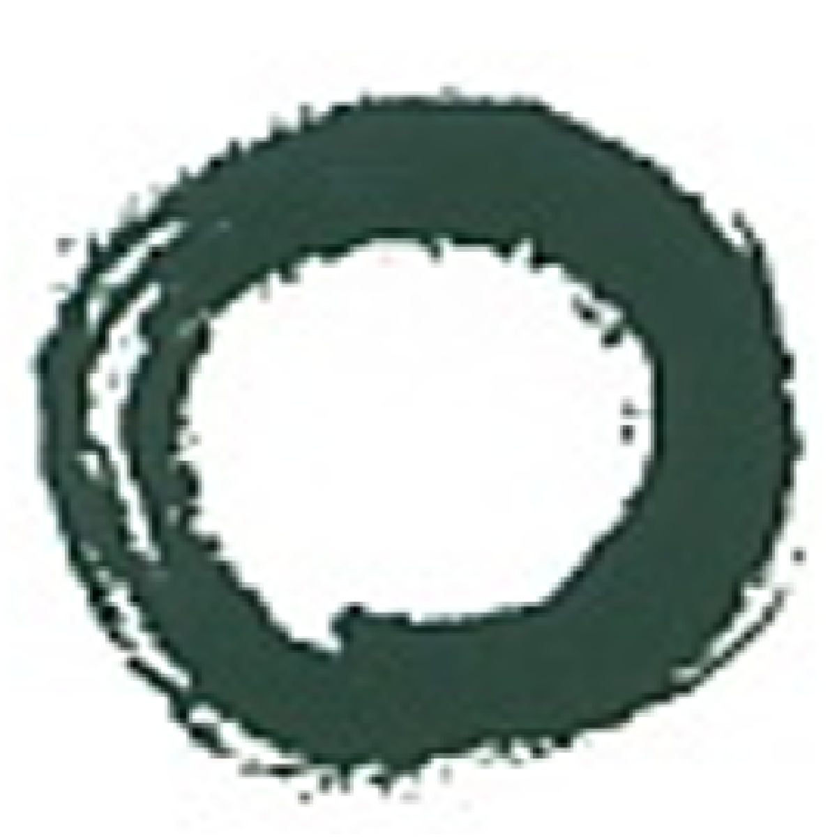 logo PT Shin Woo Mulia