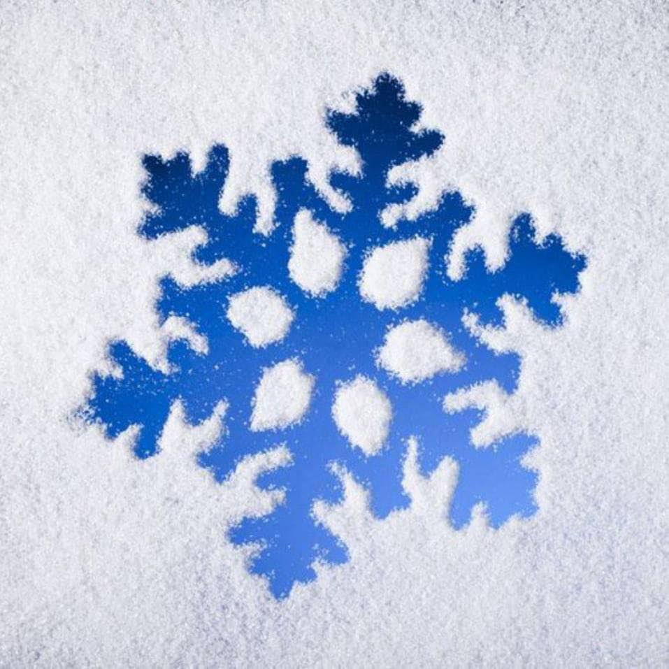 logo PT. TIANJIN DIYI INDONESIA