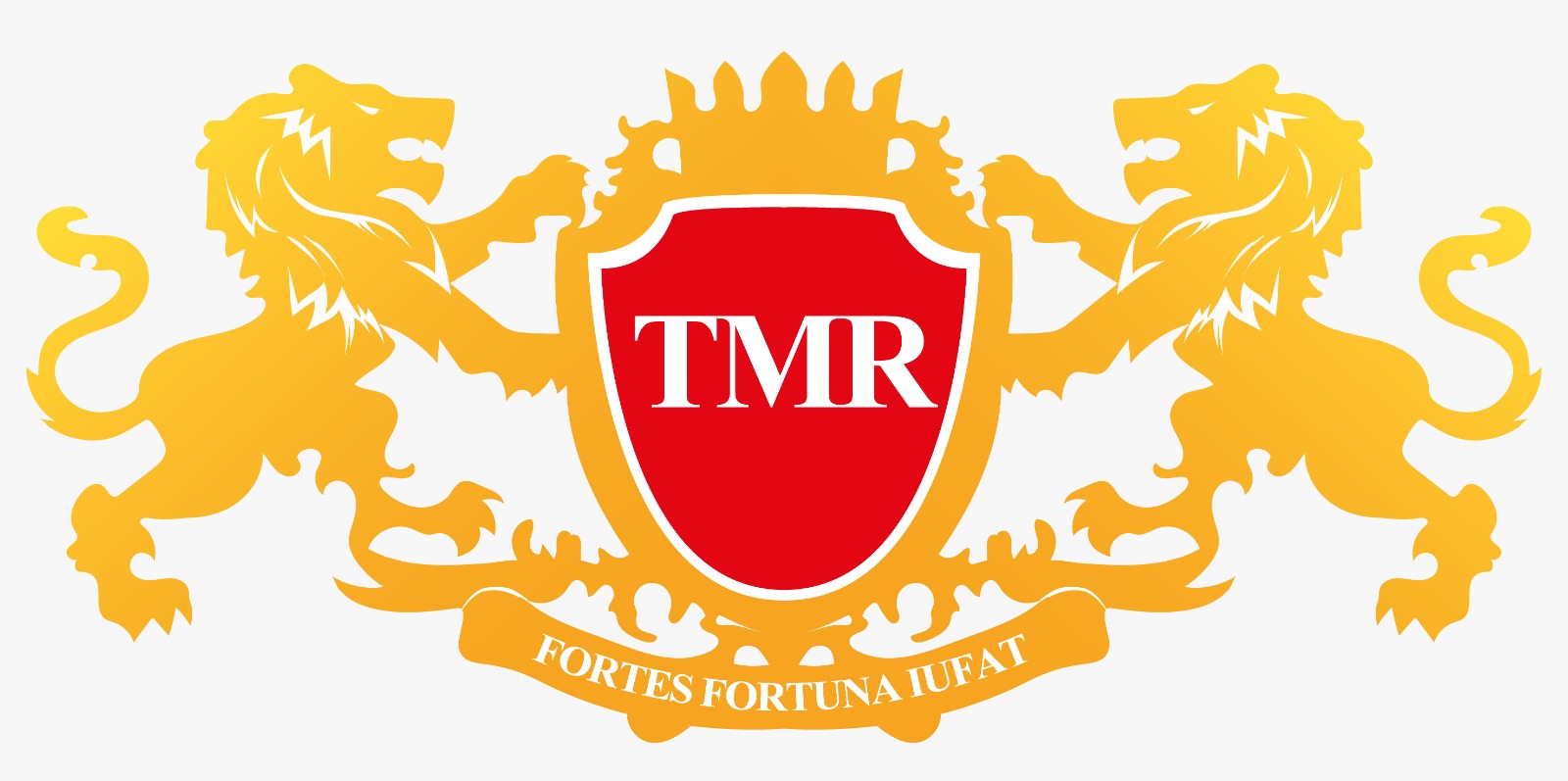 Topan Meiza Romadhon & Partners Law Firm logo